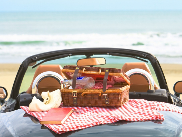 Picnic at the Beach